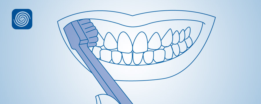 Руководство по правильной чистке зубной щёткой